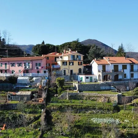 Affittacamere Il Riccio Tra I Castagni
